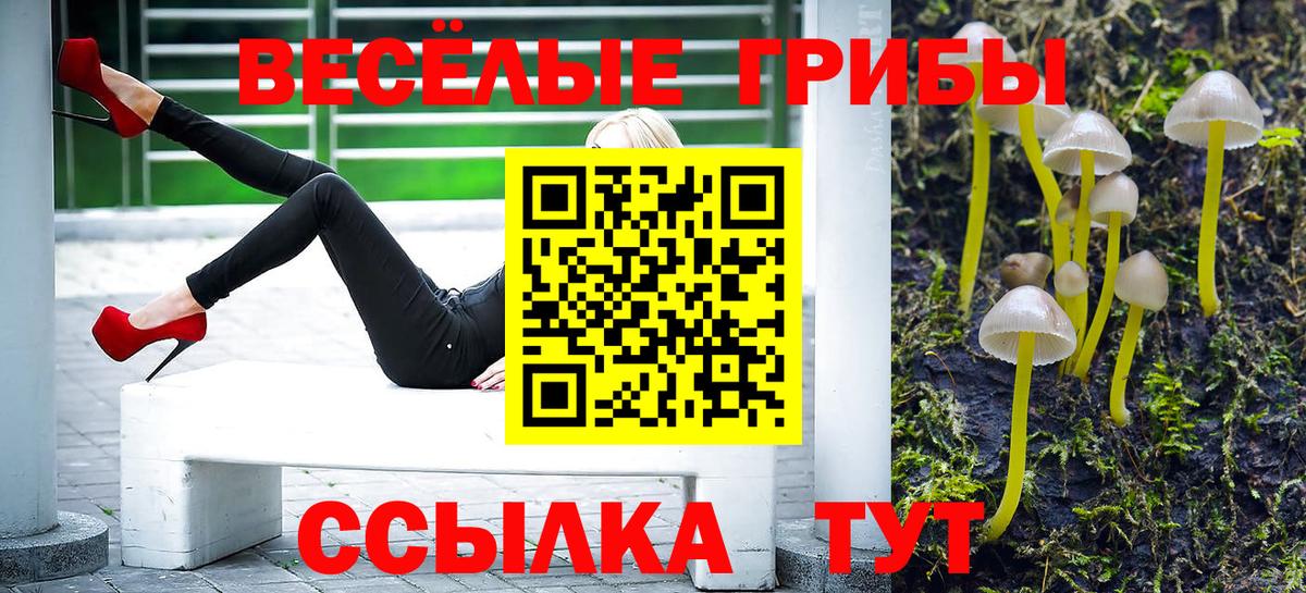 Галлюциногенные грибы мицелий Дятьково
