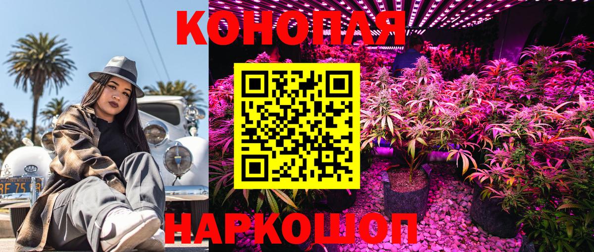 Бошки Шишки AK-47  Канабис AK-47  Бошки Шишки MAZAR  Дятьково  Вход с VPN  Шишки марихуана AK-47 